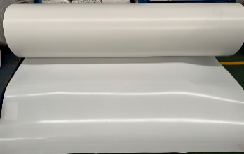 耐根穿刺高分(fēn)子（HDPE）防水卷材實物(wù)圖.jpg